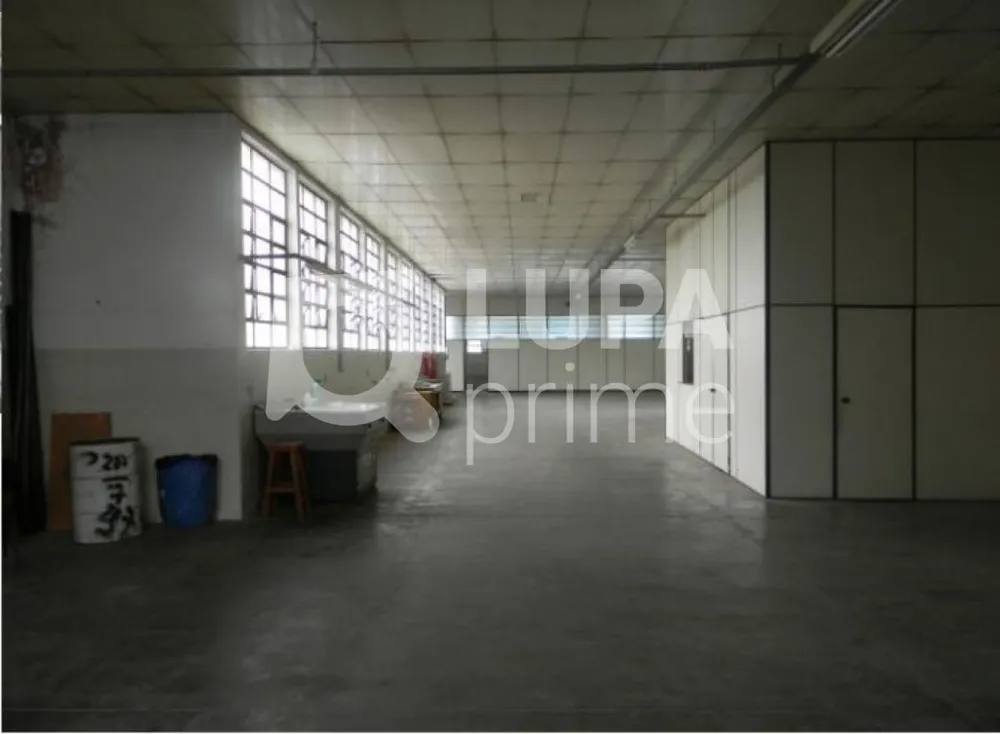 Sala-Conjunto, 1150 m² - Foto 2