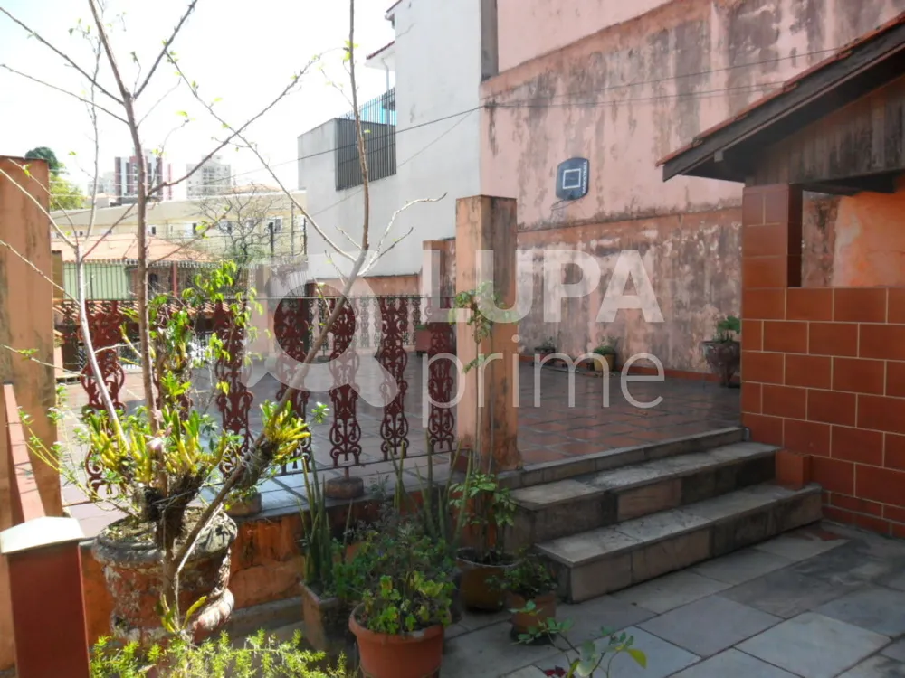 Terreno, 1060 m² - Foto 7