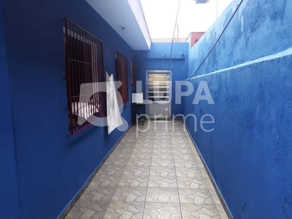 Casa, 3 quartos, 250 m² - Foto 10