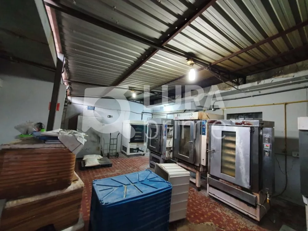 Casa, 2 quartos, 400 m² - Foto 5