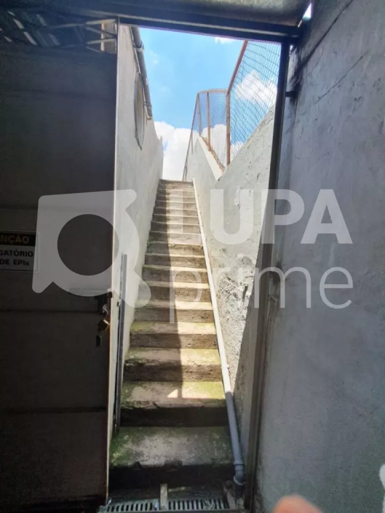 Casa, 2 quartos, 400 m² - Foto 10
