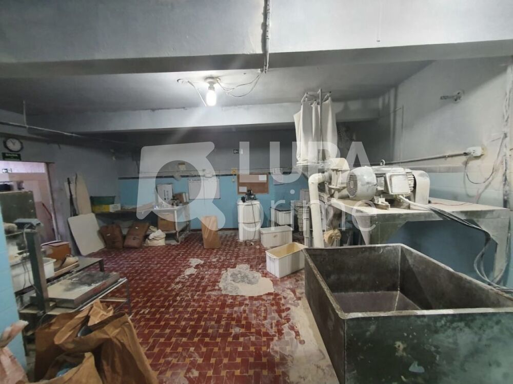 Casa, 2 quartos, 400 m² - Foto 7