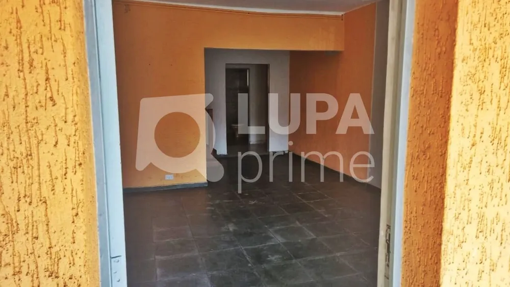Casa, 4 quartos, 180 m² - Foto 14