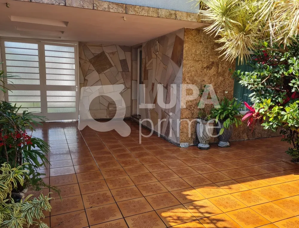 Casa, 4 quartos, 250 m² - Foto 5