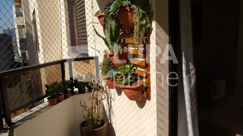 Apartamento, 3 quartos, 95 m² - Foto 5