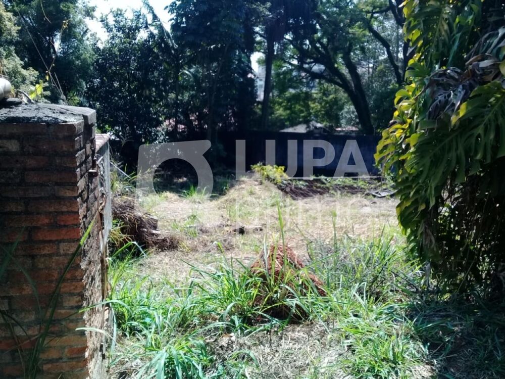 Terreno, 595 m² - Foto 4