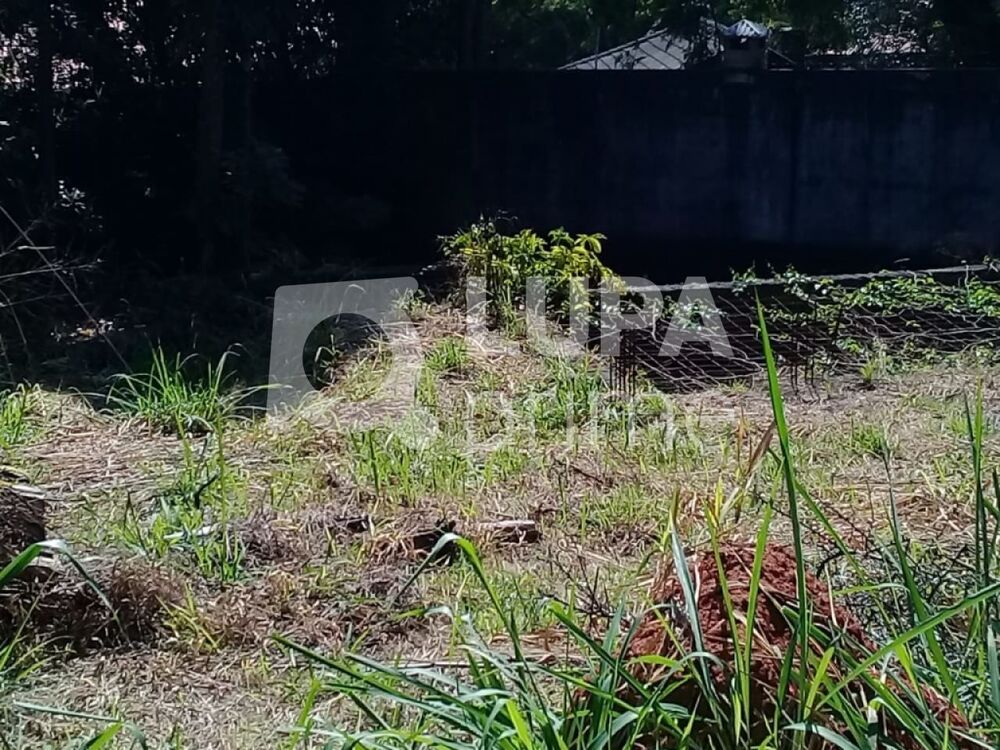 Terreno, 595 m² - Foto 3