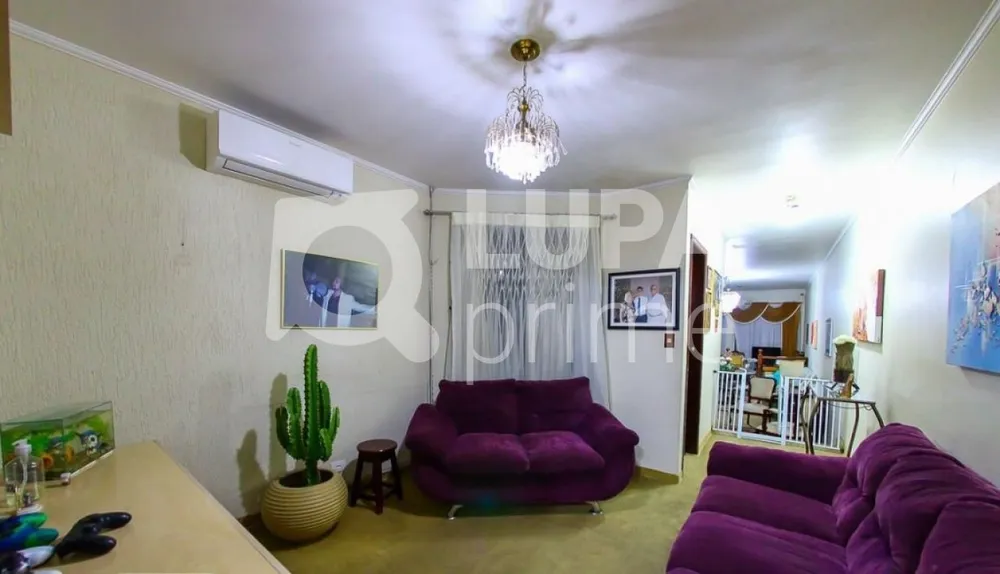 Casa, 3 quartos, 239 m² - Foto 14