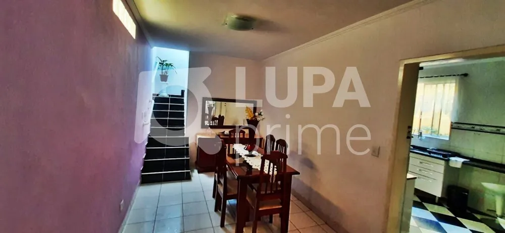 Casa, 4 quartos, 120 m² - Foto 11
