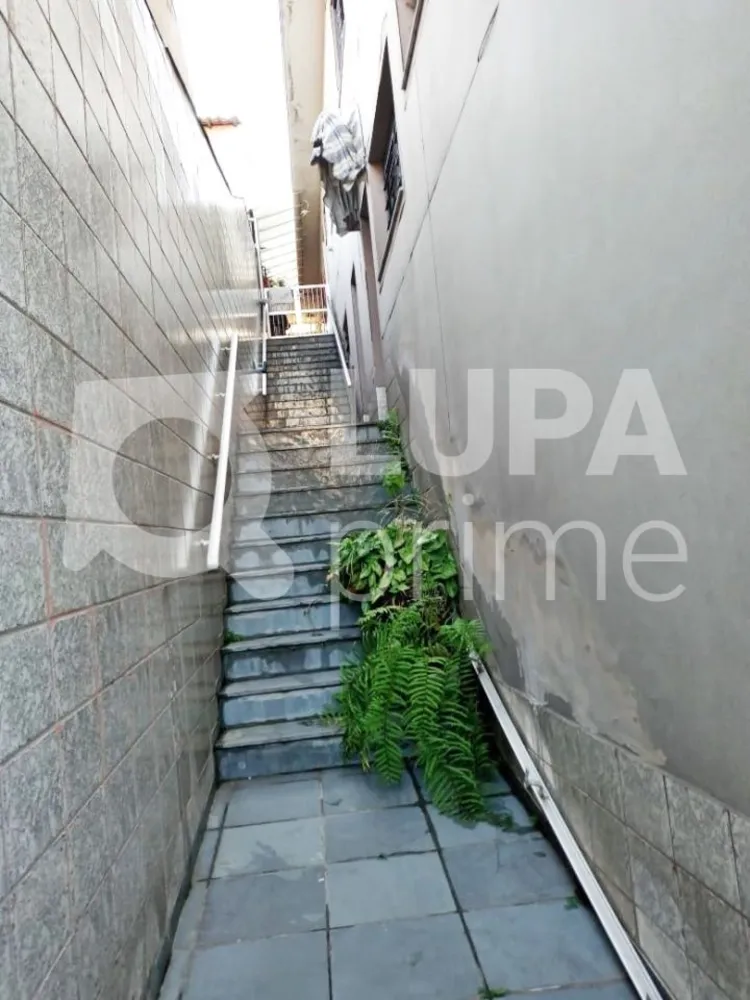 Casa, 4 quartos, 150 m² - Foto 6