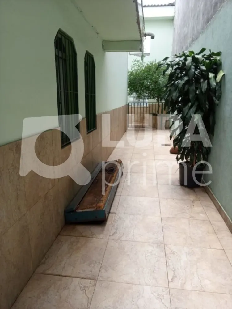 Casa, 7 quartos, 250 m² - Foto 4