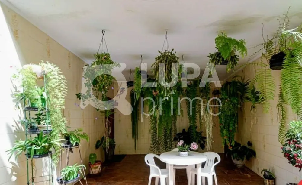 Casa, 4 quartos, 488 m² - Foto 8