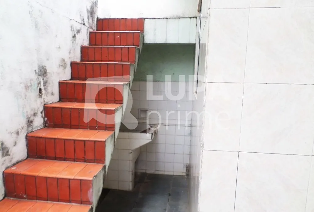 Casa, 3 quartos, 250 m² - Foto 6