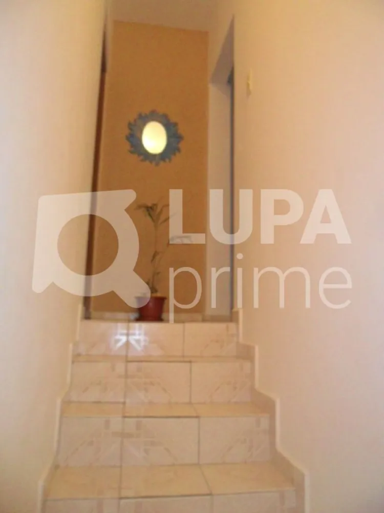 Casa, 3 quartos, 245 m² - Foto 3