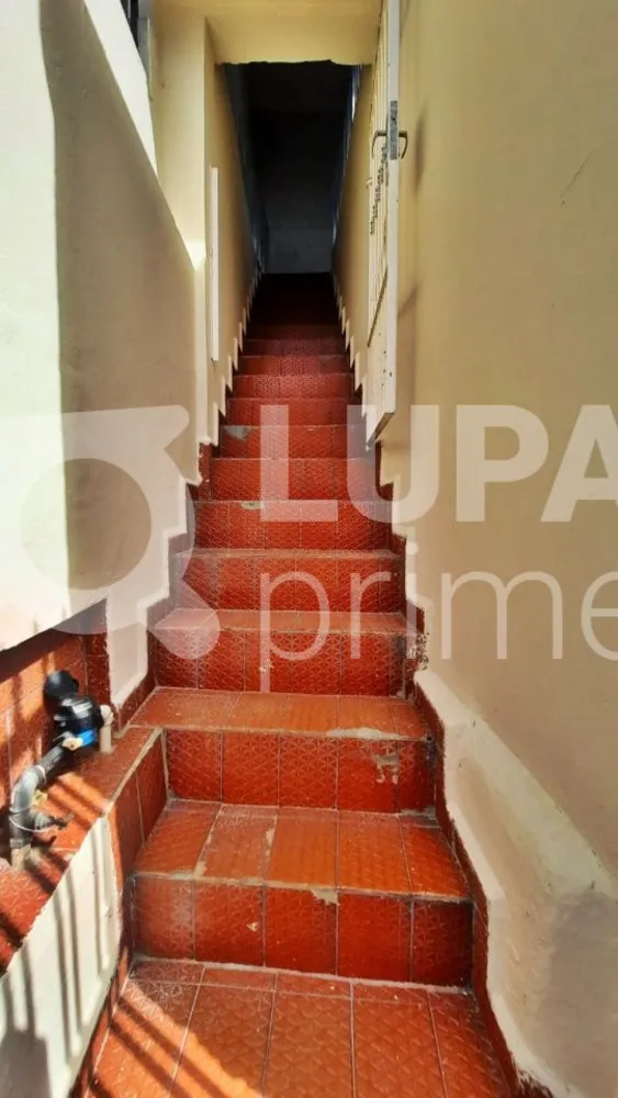 Casa, 4 quartos, 110 m² - Foto 9