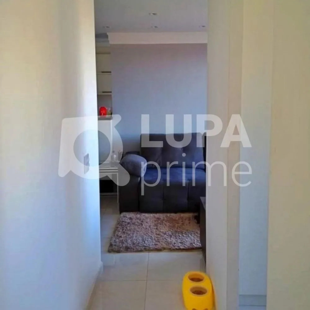 Apartamento, 3 quartos, 65 m² - Foto 2