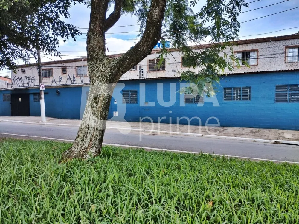 Casa, 5 quartos, 576 m² - Foto 4