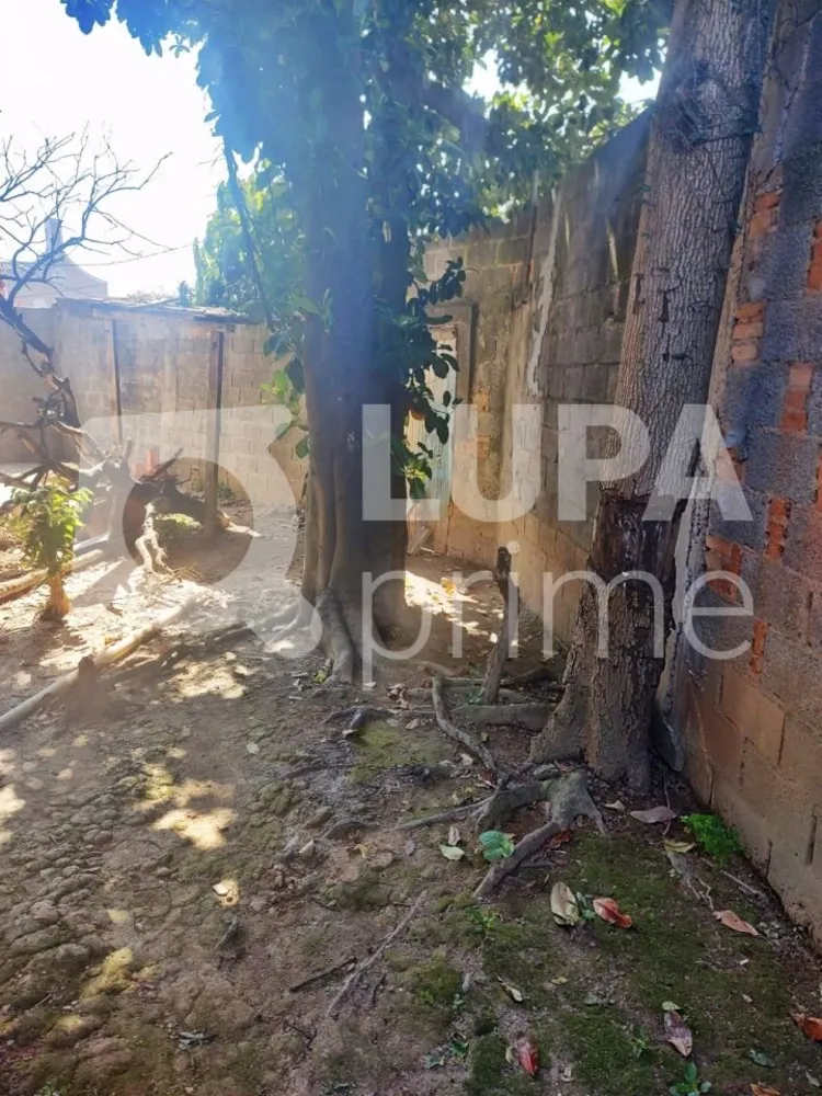 Casa, 3 quartos, 250 m² - Foto 12
