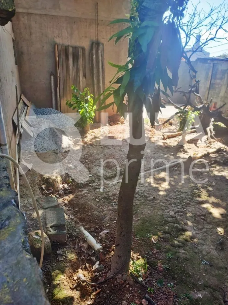 Casa, 3 quartos, 250 m² - Foto 9