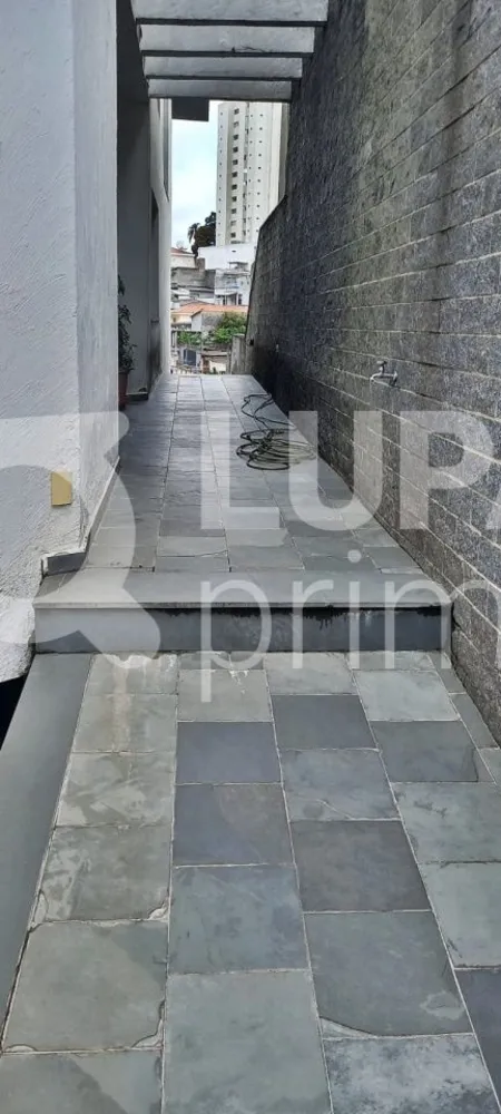 Casa, 4 quartos, 337 m² - Foto 10