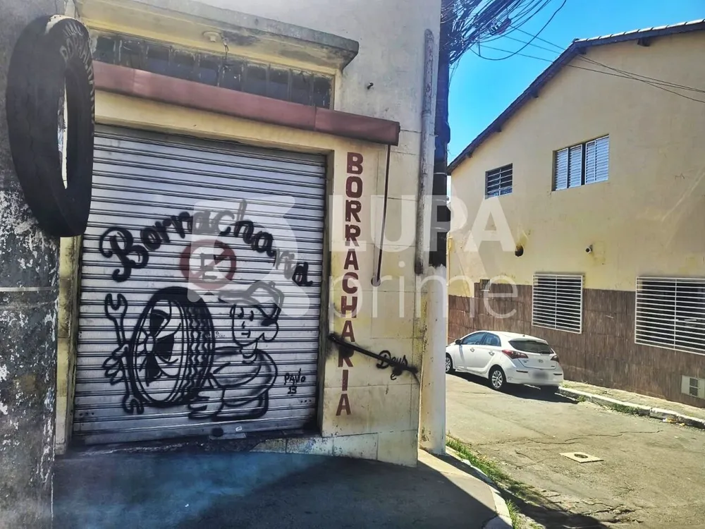 Casa, 5 quartos, 250 m² - Foto 4
