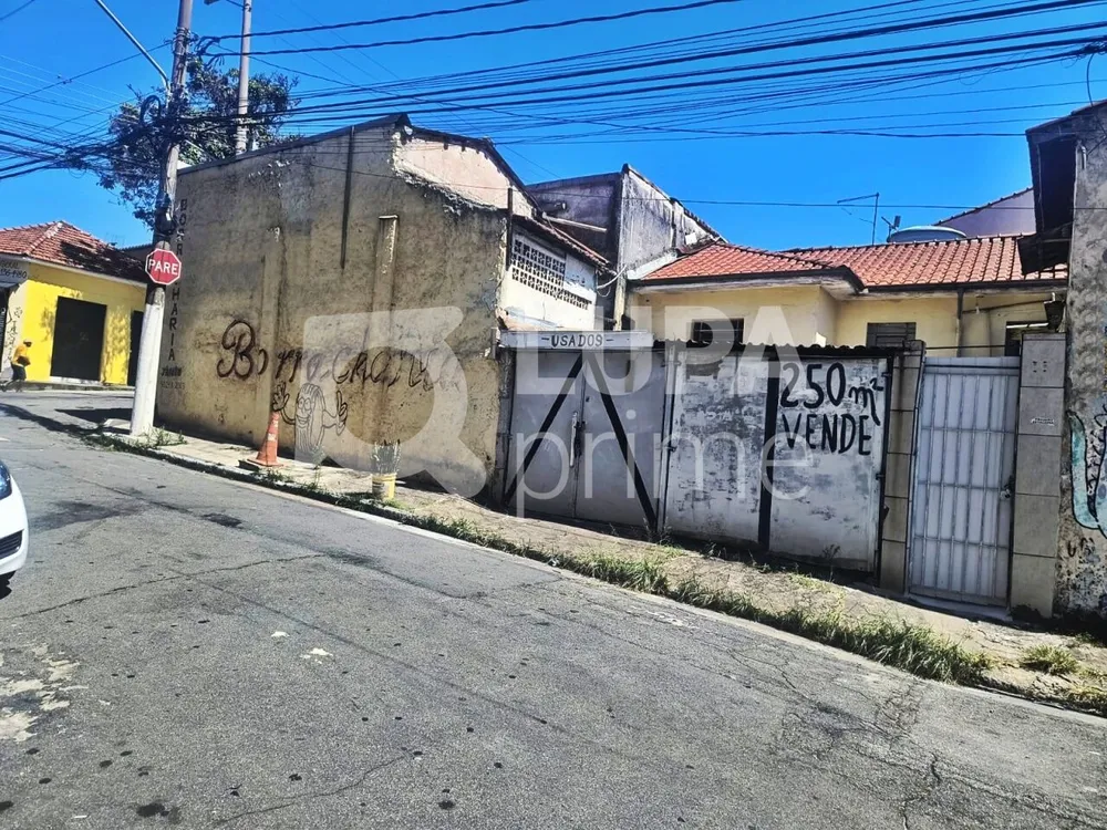Casa, 5 quartos, 250 m² - Foto 5