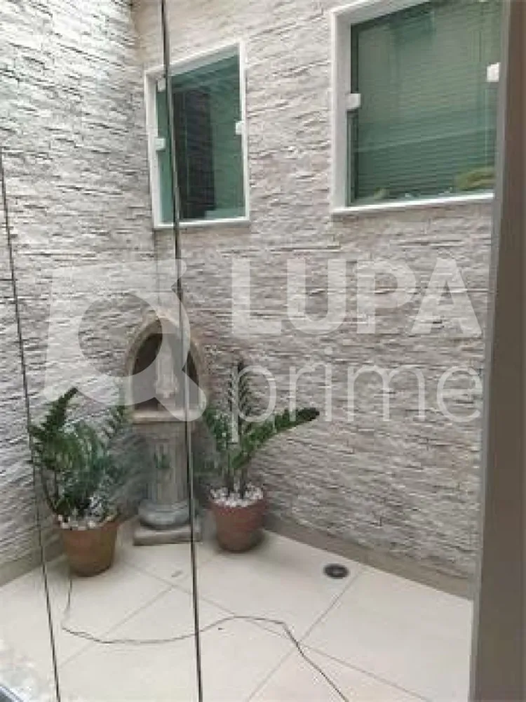 Casa, 3 quartos, 250 m² - Foto 15