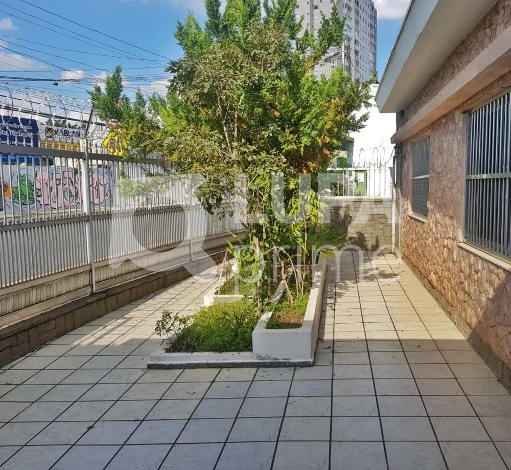 Casa, 3 quartos, 192 m² - Foto 4