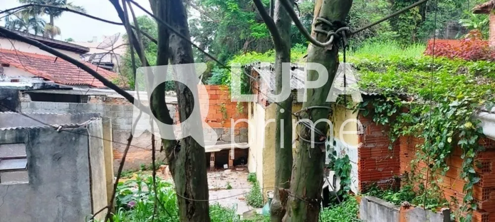 Terreno, 1739 m² - Foto 8