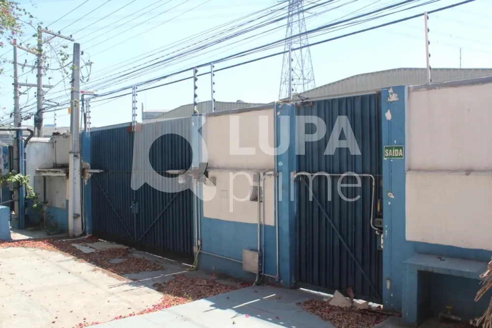 Depósito-Galpão, 2800 m² - Foto 4