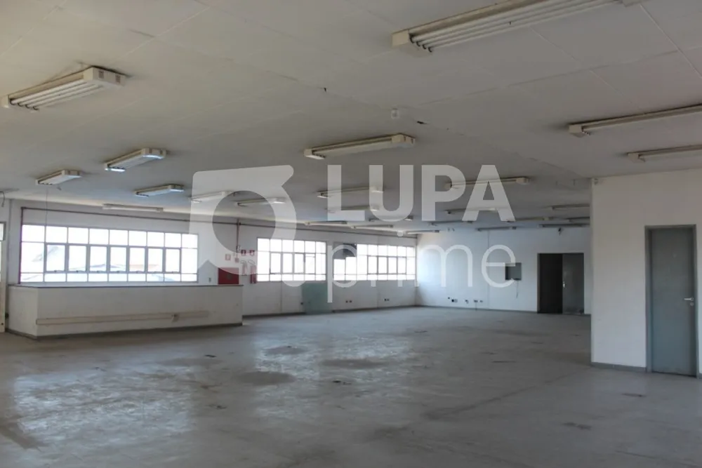 Depósito-Galpão, 2800 m² - Foto 5
