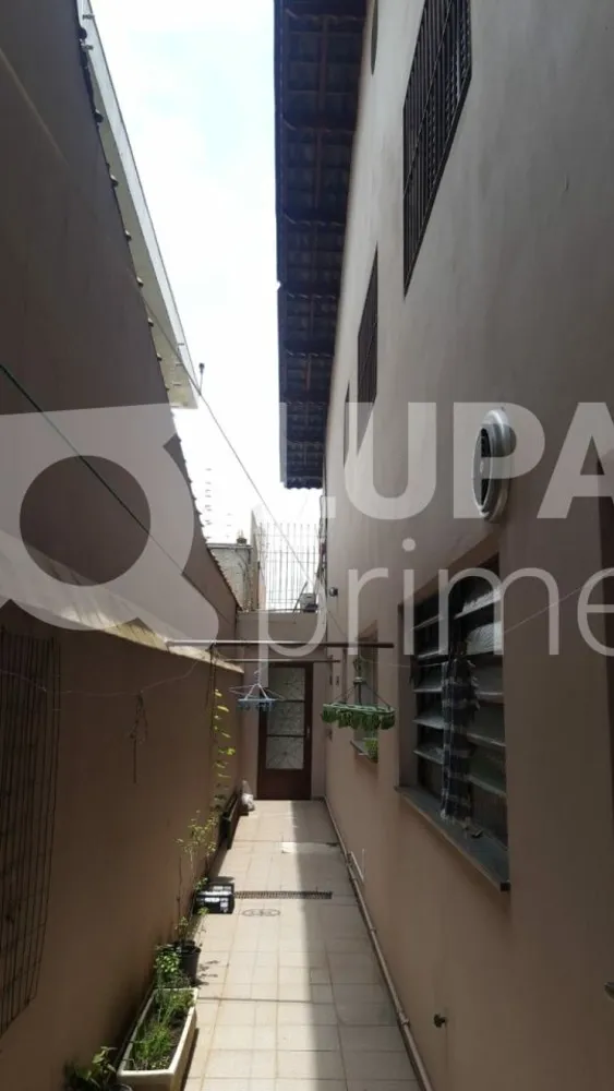 Casa, 4 quartos, 327 m² - Foto 6