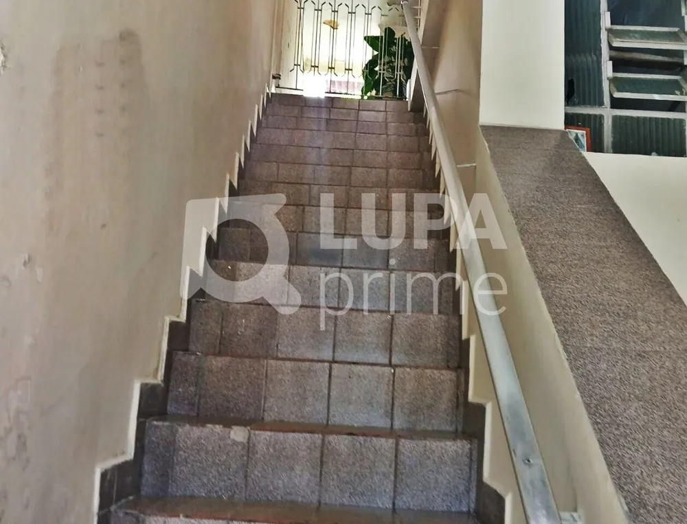 Casa, 3 quartos, 438 m² - Foto 4
