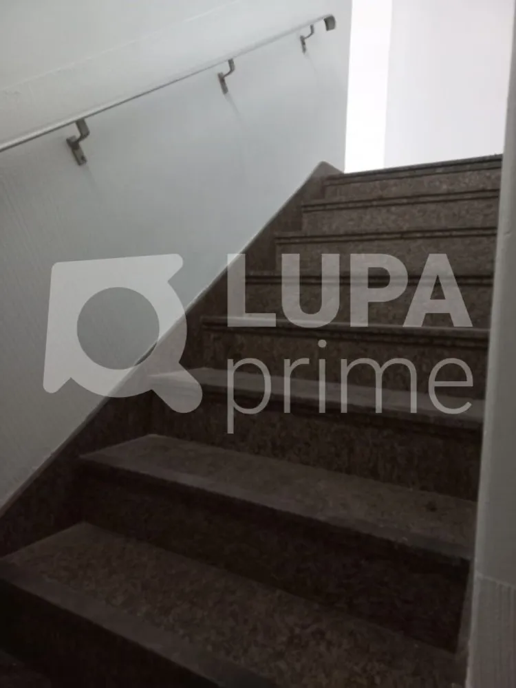 Casa, 5 quartos, 284 m² - Foto 3