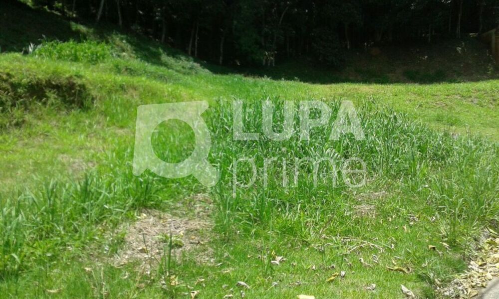 Terreno à venda, 2190 - Foto 2