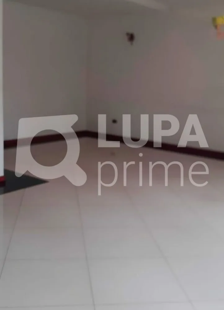 Casa, 3 quartos, 300 m² - Foto 8