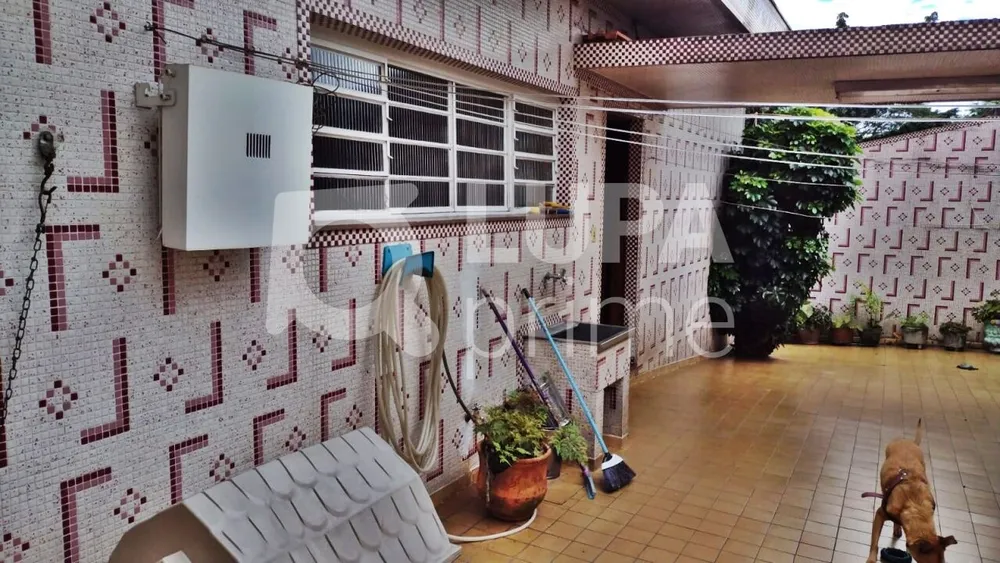 Casa, 3 quartos, 263 m² - Foto 3