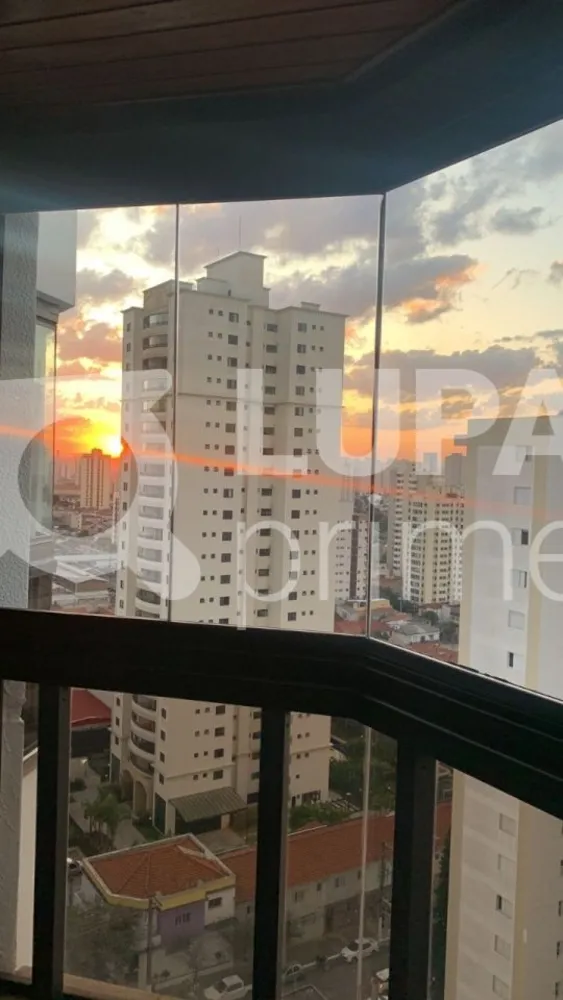 Apartamento, 3 quartos, 270 m² - Foto 6