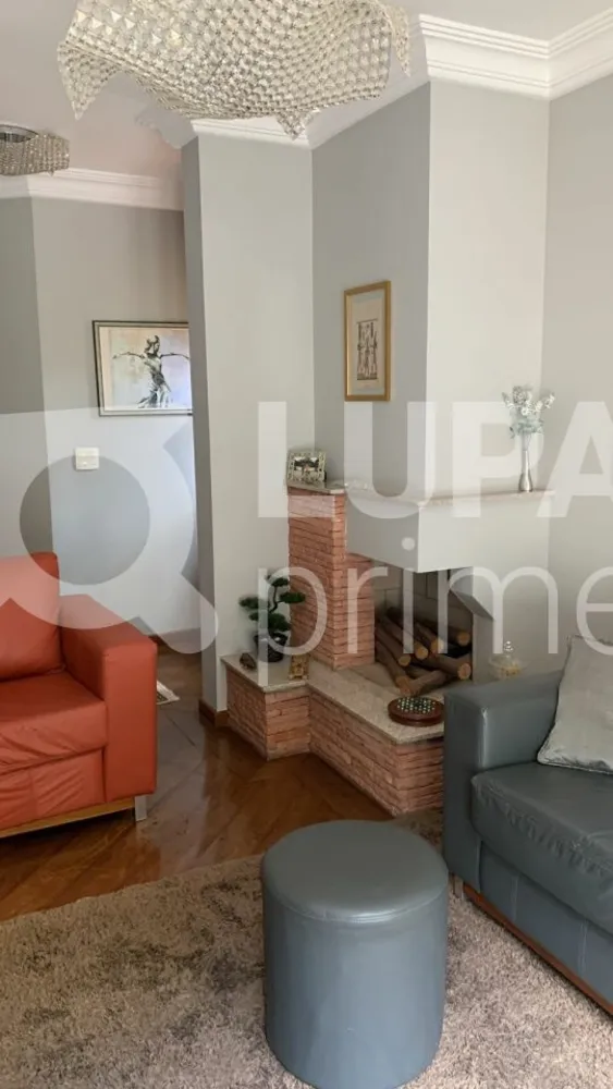 Casa, 4 quartos, 340 m² - Foto 7