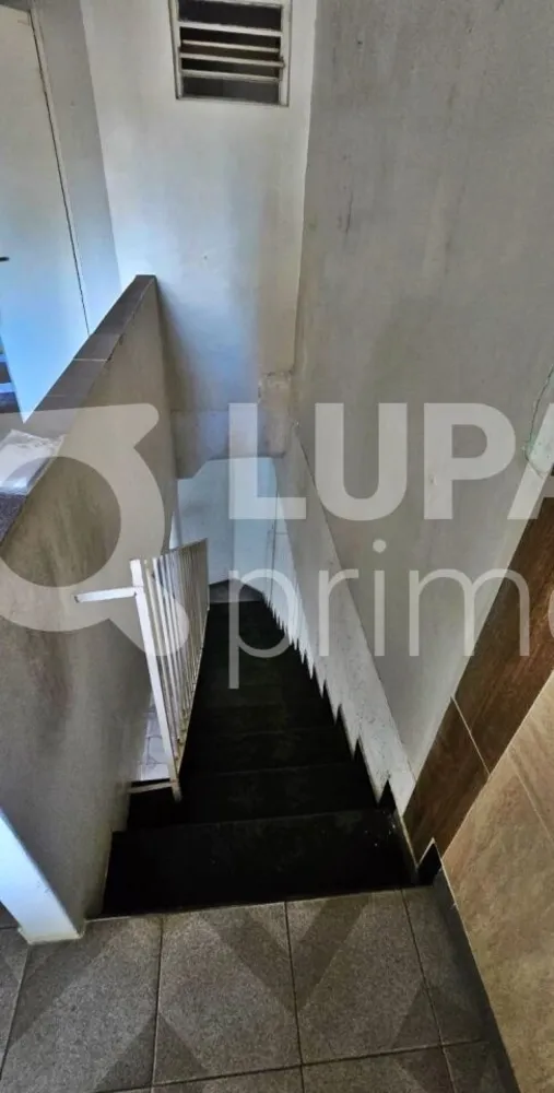 Casa, 4 quartos, 100 m² - Foto 4