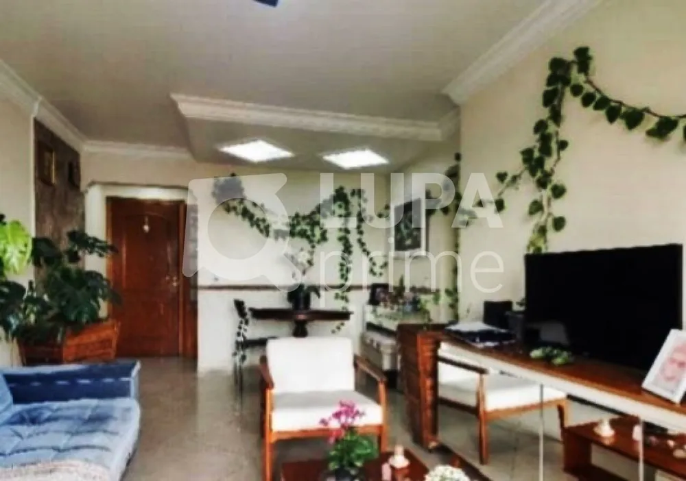 Apartamento, 3 quartos, 74 m² - Foto 8