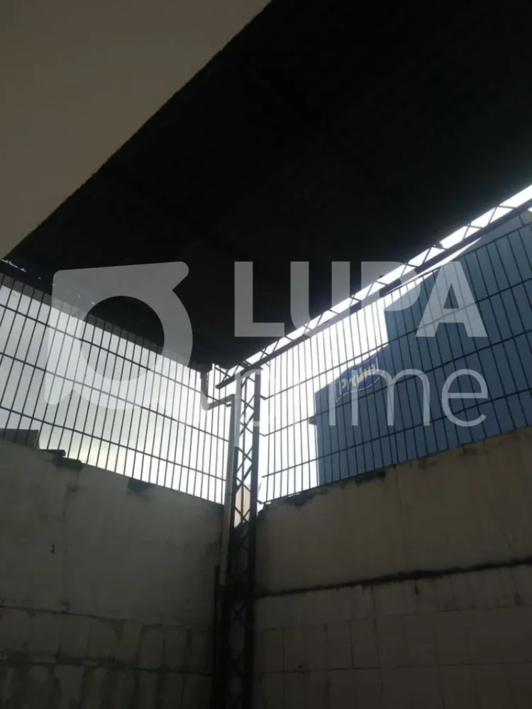 Prédio Inteiro, 256 m² - Foto 6