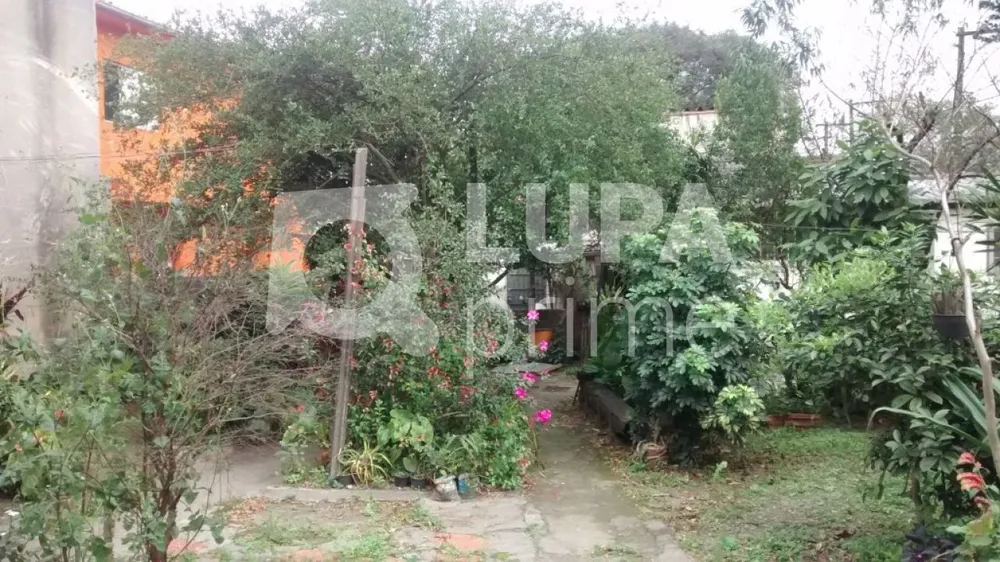 Terreno, 980 m² - Foto 6