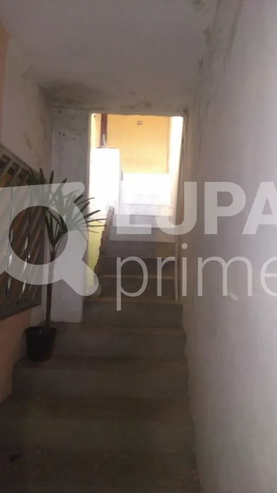 Casa, 3 quartos, 138 m² - Foto 6
