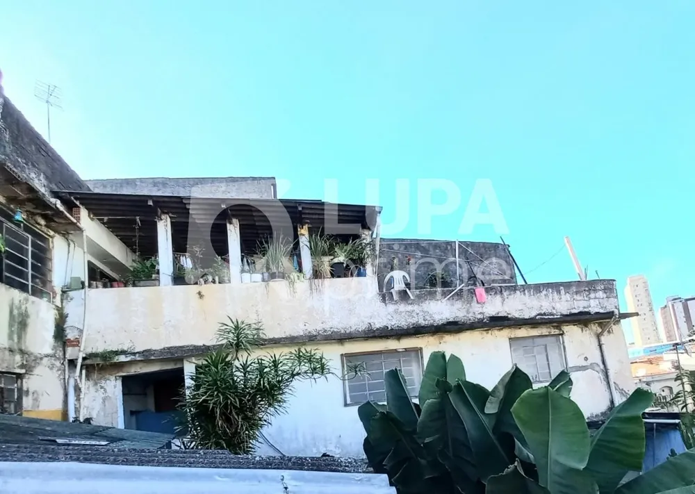 Casa, 2 quartos, 300 m² - Foto 12