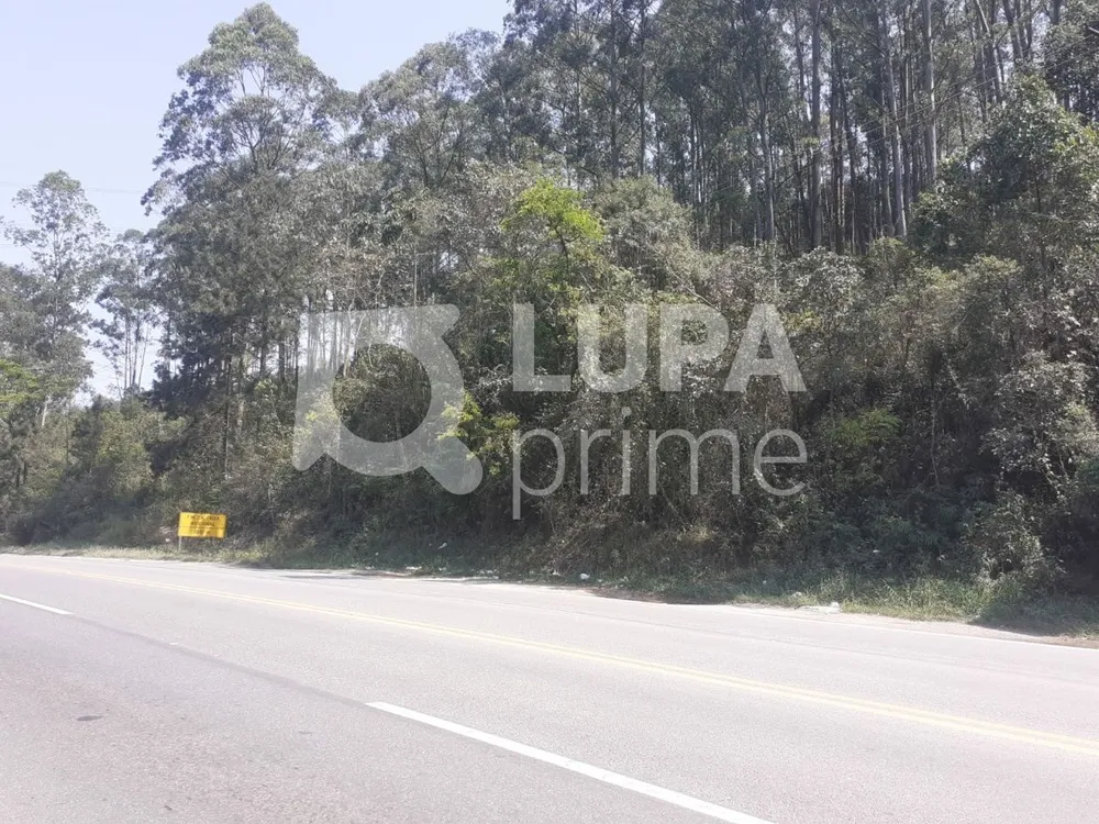 Terreno, 1 hectares - Foto 7