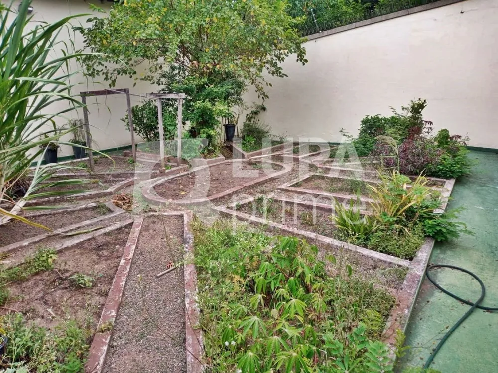 Casa, 4 quartos, 530 m² - Foto 10