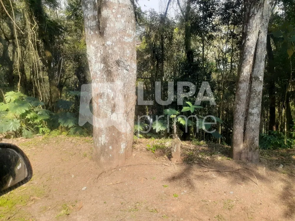 Terreno, 1045 m² - Foto 7