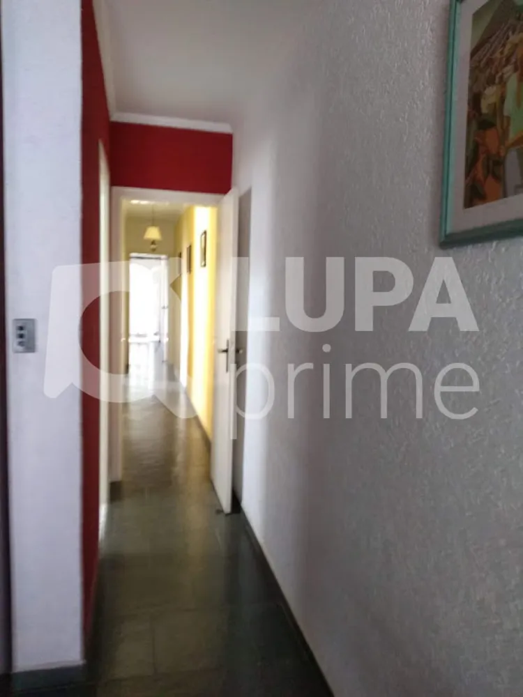 Casa, 3 quartos, 330 m² - Foto 4