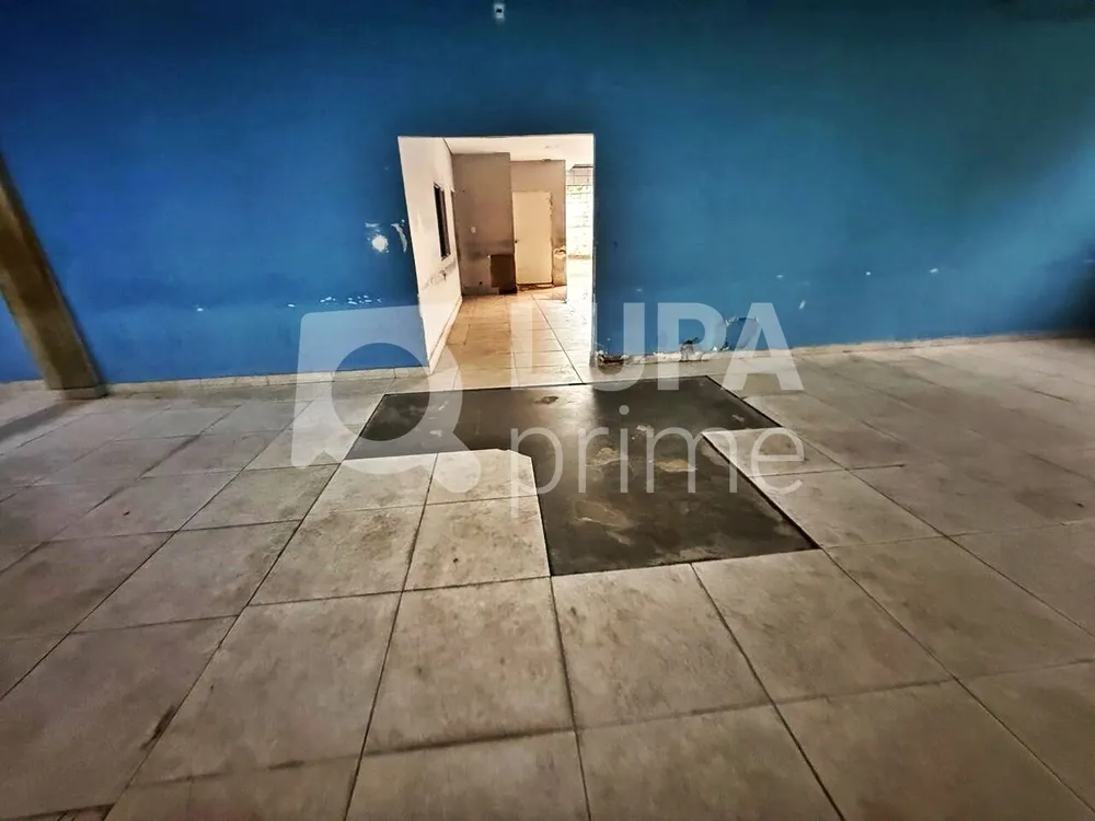 Sala-Conjunto, 1600 m² - Foto 6